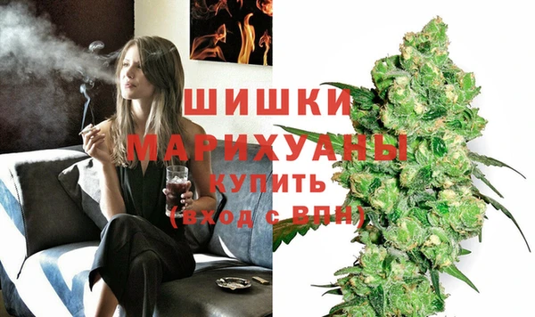 мдпв Волоколамск
