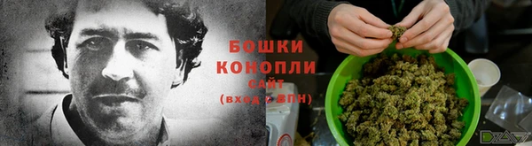Альфа ПВП Сясьстрой