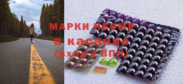 соль ск Вяземский