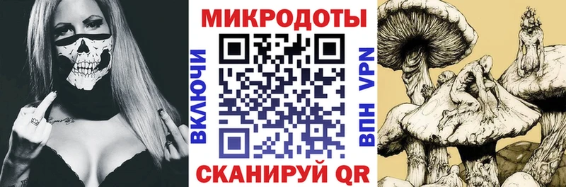 Галлюциногенные грибы прущие грибы  ссылка на мегу сайт  Каргополь 
